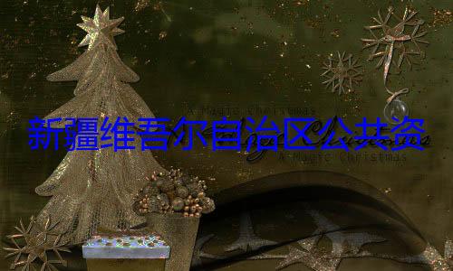自治区公共资源交易中建强接受审新疆维吾尔心副主任薛查调查
